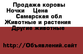 Продажа коровы “Ночки“ › Цена ­ 100 000 - Самарская обл. Животные и растения » Другие животные   